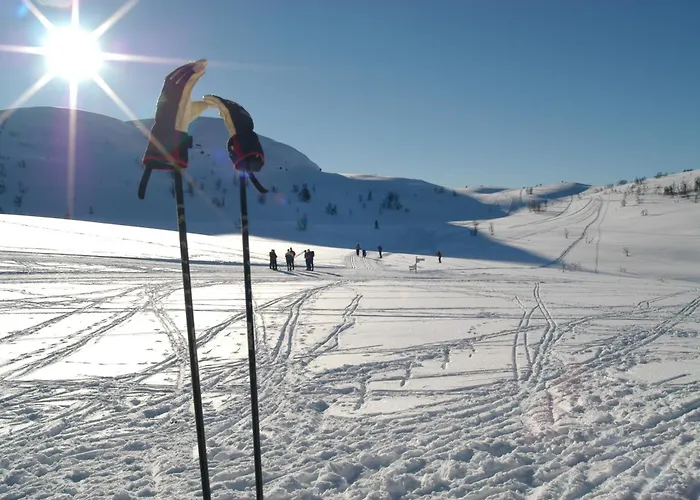 Rauland Hogfjellshotell